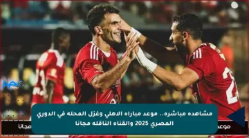 مشاهدة مباشرة.. موعد مباراة الأهلي وغزل المحلة في الدوري المصري 2025 والقناة الناقلة مجانا
